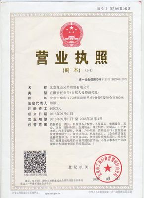 Kunststoffspritzgießerei und Werkzeugformmaterial P20/718/738H/NAK80/S136 usw.