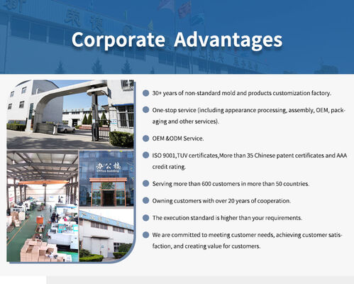 Professionelle Spritzgussform für Türzubehör mit glatter Oberfläche und präziser Größe für Innen- und Außentürteile